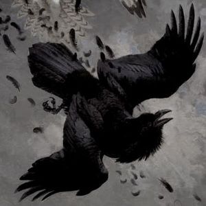 Meet your Posher, Raven